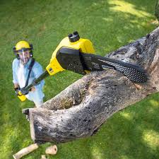 Best Aeration Services  in North Patchogue, NY